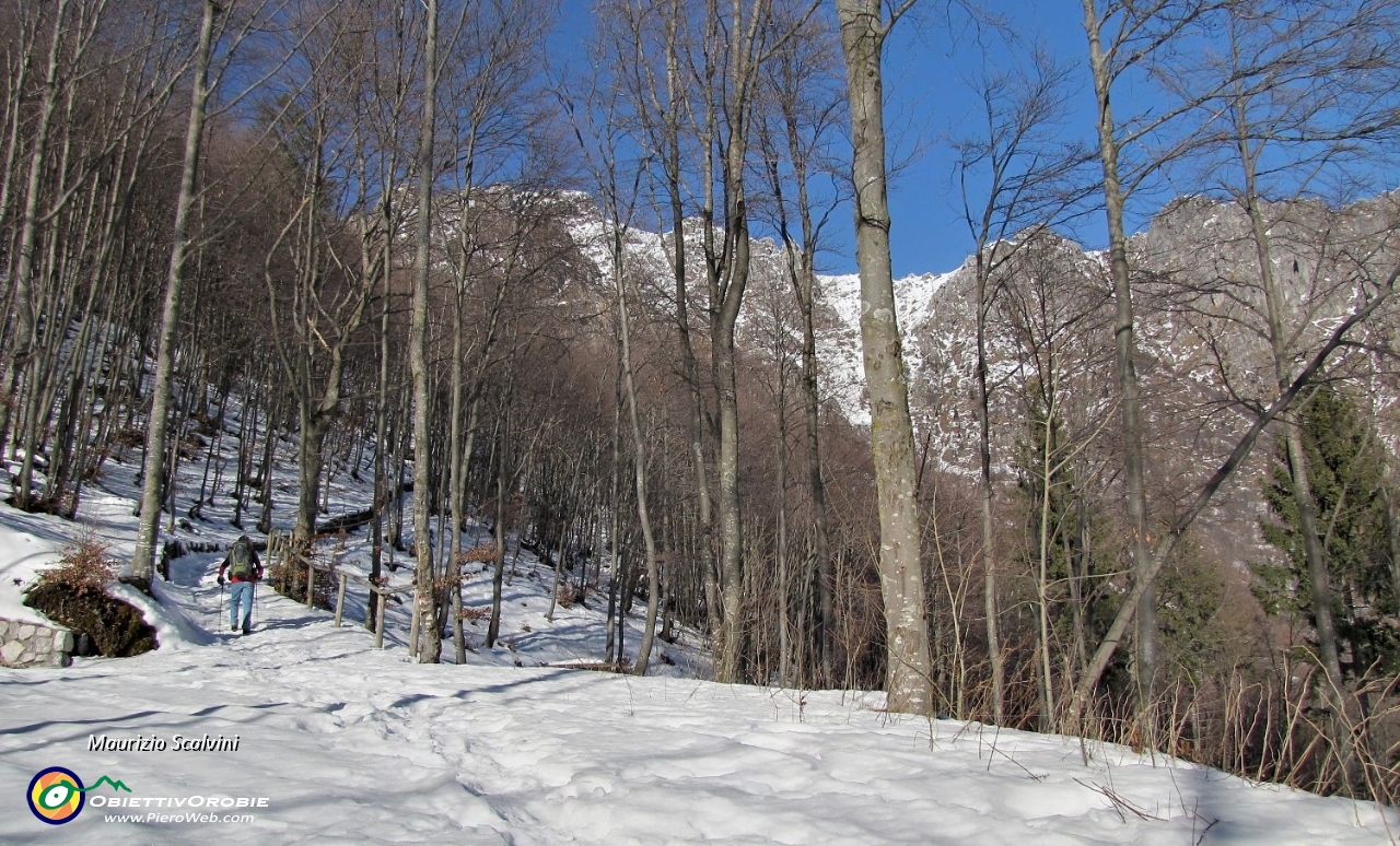 16 Si va per stradina nel bosco....JPG